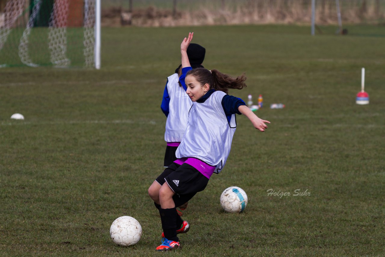 Bild 56 - D-Juniorinnen SV Bokhorst - FSC Kaltenkirchen : Ergebnis: 1:8